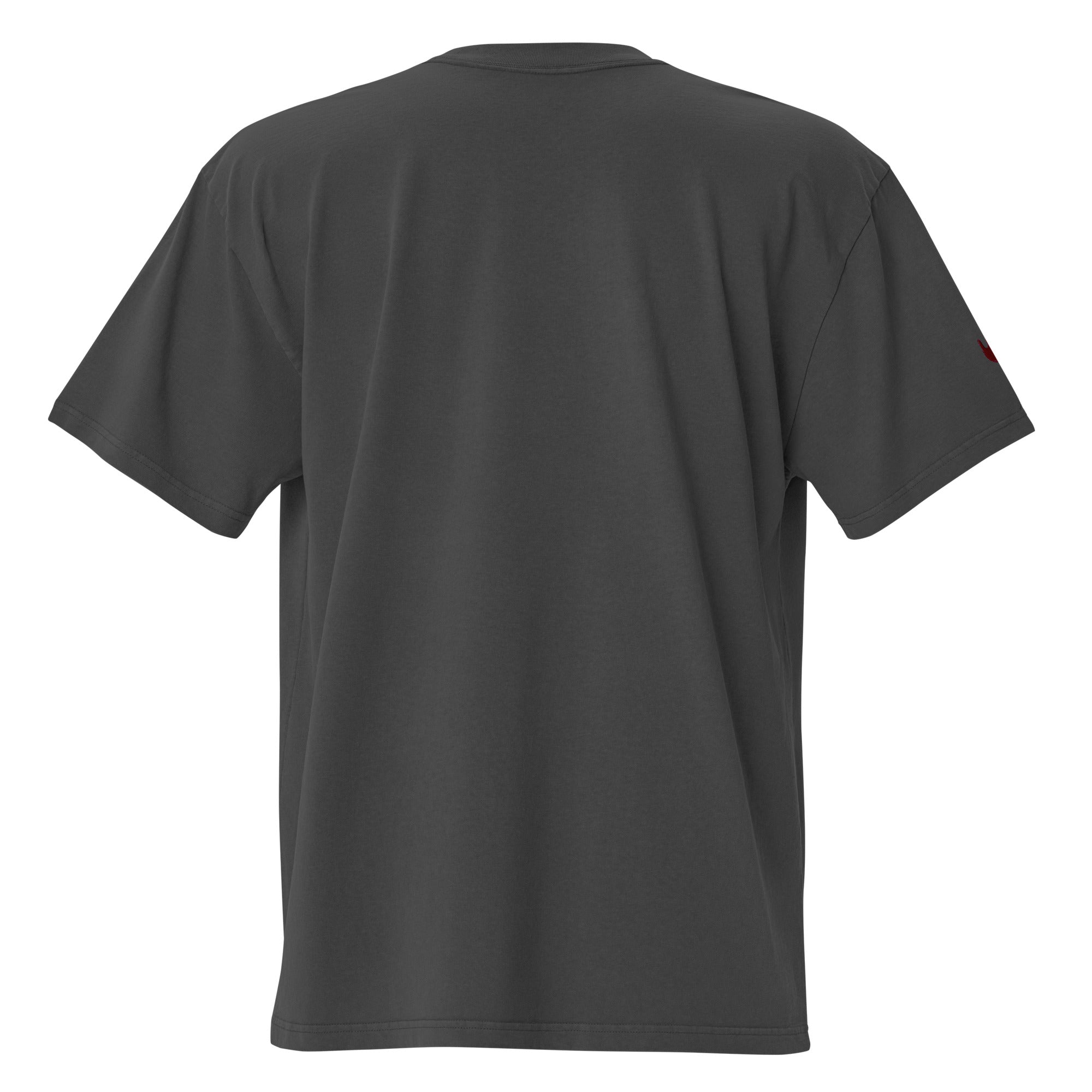 CS. - Limited Edition Emboridered Oversized t-shirt – Sam